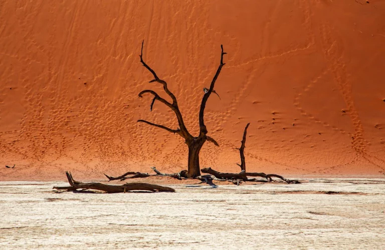 Sossusvlei